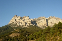 Laspuna (217)