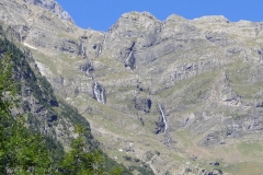 Pineta